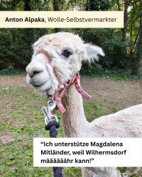 Anton Alpaka, Wolle-Selbstvermarkter